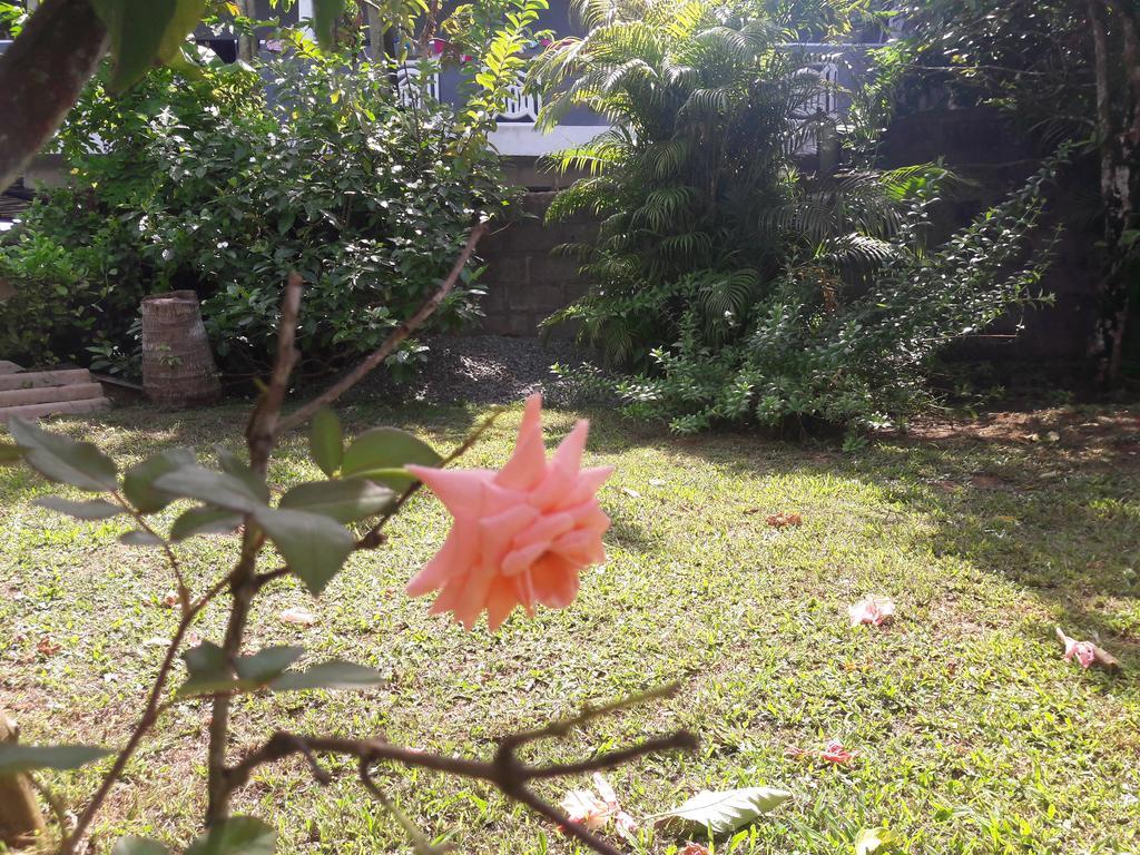 Pradeepa House Apartment Unawatuna Luaran gambar